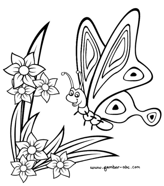 Sketsa Kupu Kupu Hinggap Bunga Sketsa Kupu Kupu Hinggap Bunga