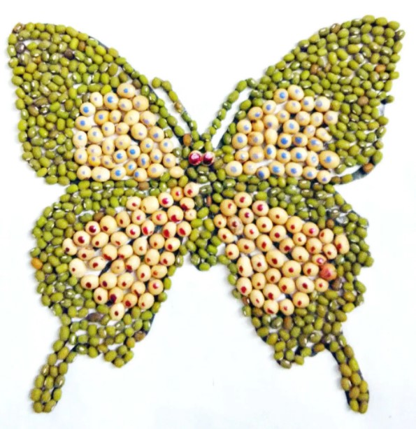 Sketsa Kupu Kupu dari Biji Bijian Sketsa Kupu Kupu dari Biji Bijian