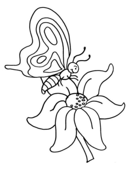 Sketsa Kupu Kupu Hinggap Sketsa Kupu Kupu Hinggap