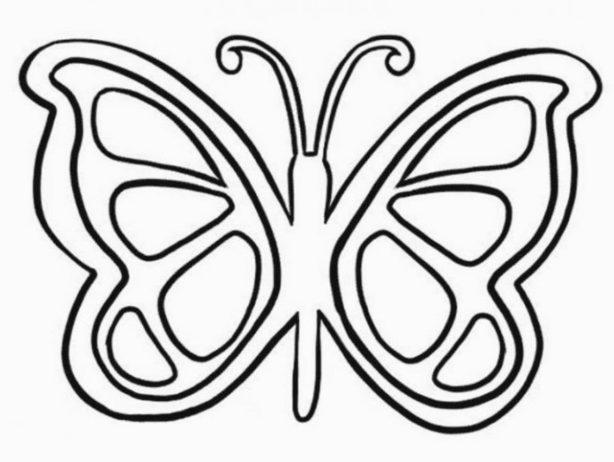 Sketsa Fauna Kupu-kupu Sketsa Fauna Kupu-kupu