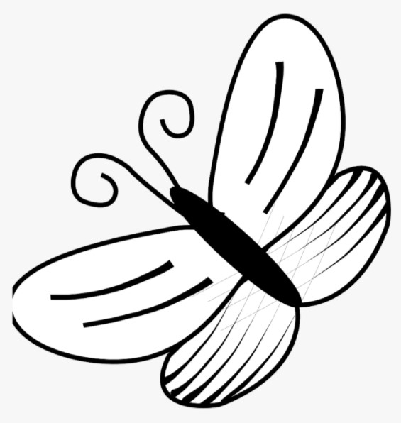 Sketsa kupu kupu simple dan mudah Sketsa kupu kupu simple dan mudah