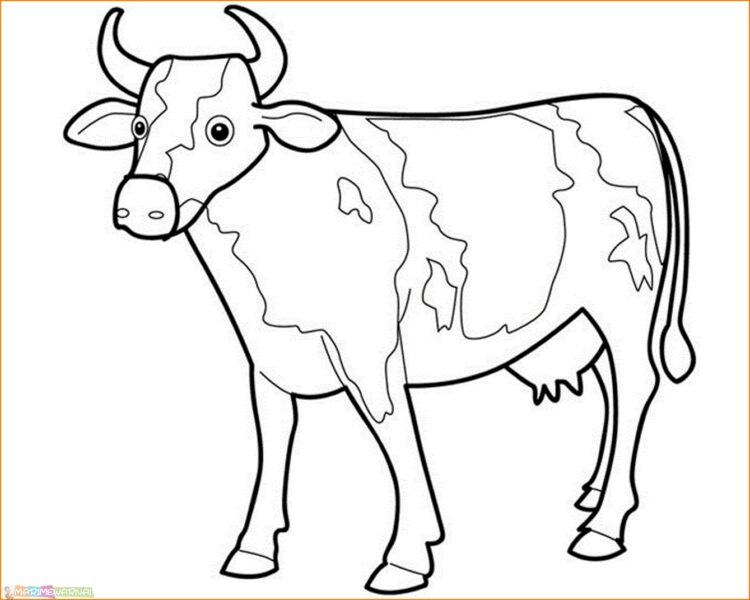 bentuk sketsa sapi