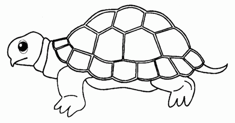 menggambar kura kuar