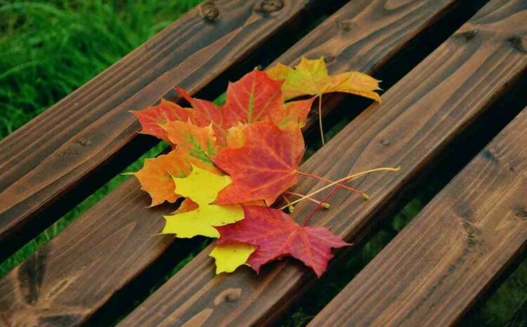 kerajinan dari daun kering